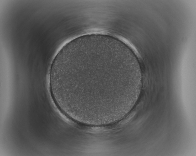 X0000111811383200909031421