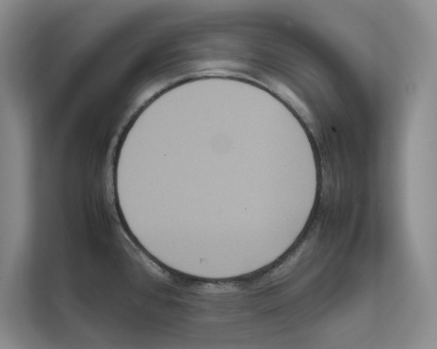 X0000111811384200909031421