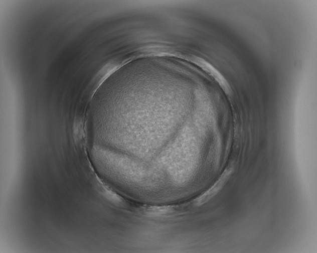 X0000111811385200909031421