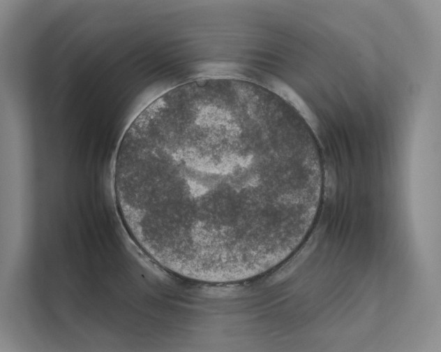 X0000111811386200909031421