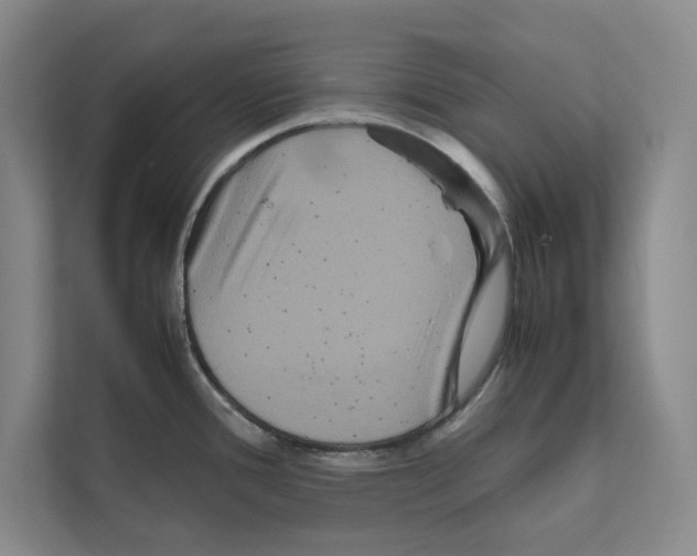 X0000111811388200909031421