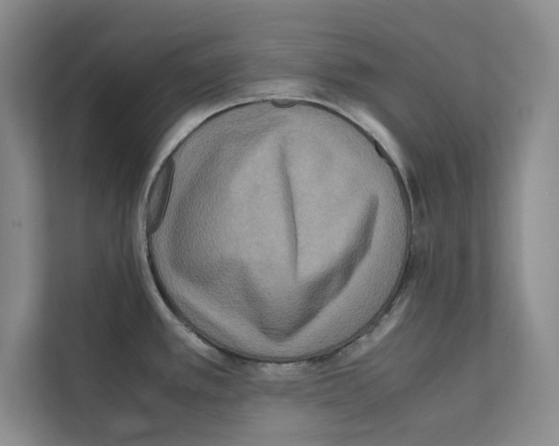 X0000111811389200909031421