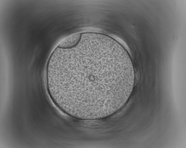 X0000111811391200909031421