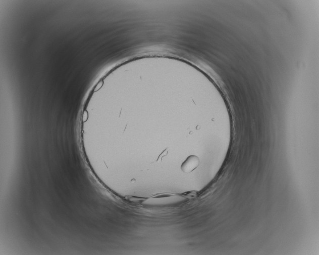 X0000111811392200909031421