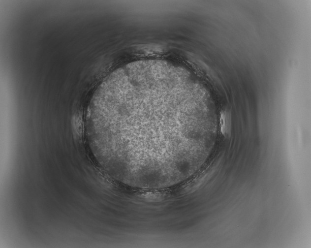 X0000111811395200909031421