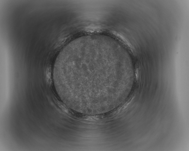 X0000111811396200909031421