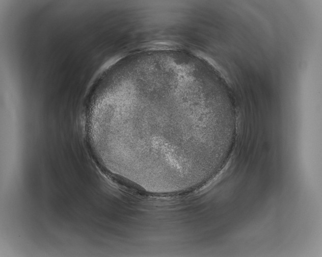 X0000111811402200909031421