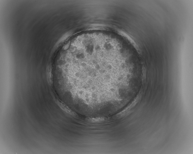 X0000111811403200909031421