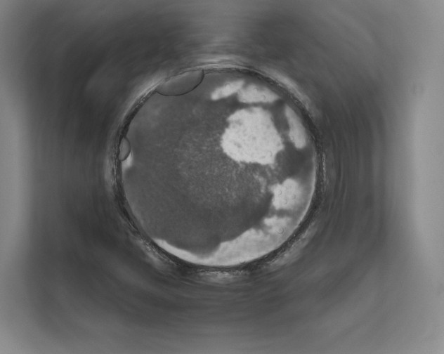 X0000111811405200909031421