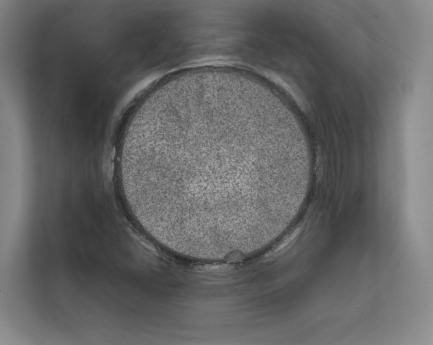 X0000111811406200909031421