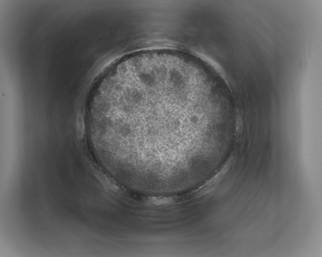 X0000111811407200909031421