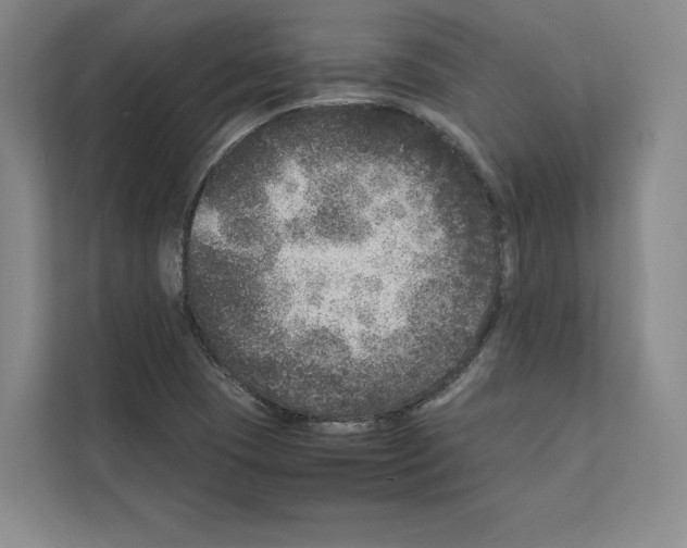 X0000111811409200909031421