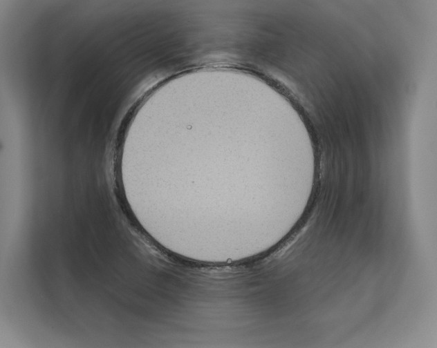 X0000111811410200909031421