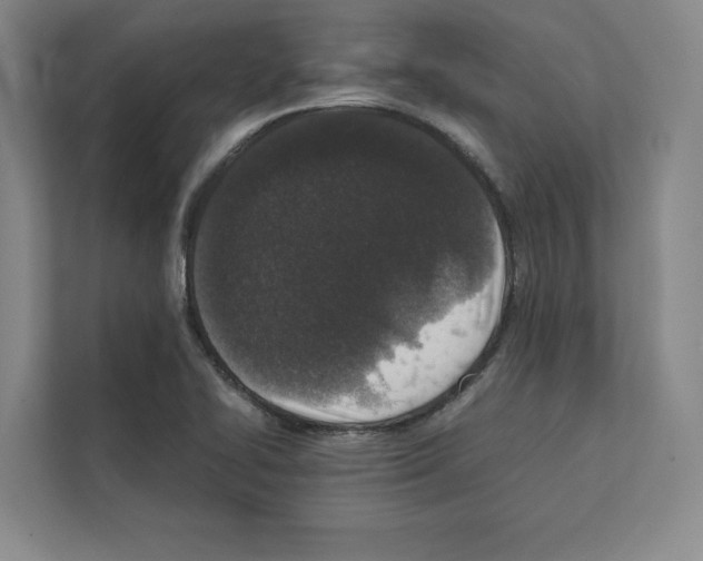 X0000111811414200909031421