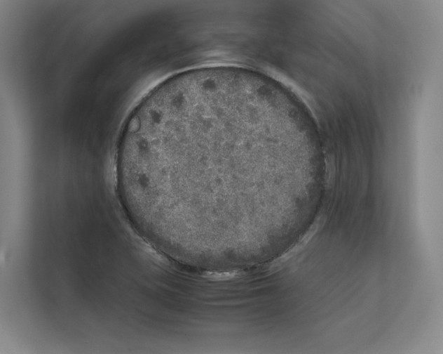 X0000111811415200909031421