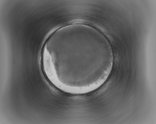 X0000111811418200909031421