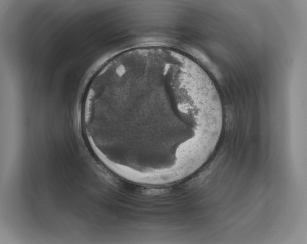 X0000111811419200909031421