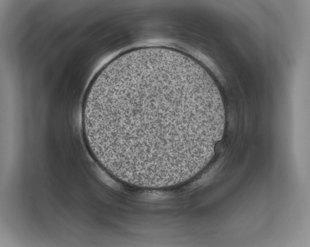 X0000111811420200909031421