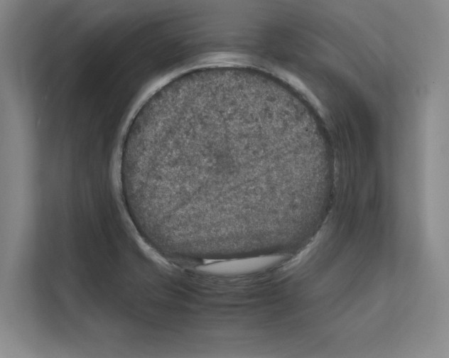 X0000111811421200909031421