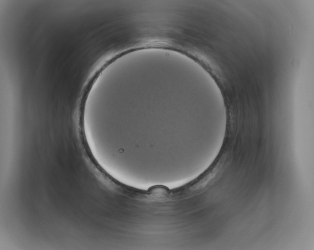 X0000111811422200909031421