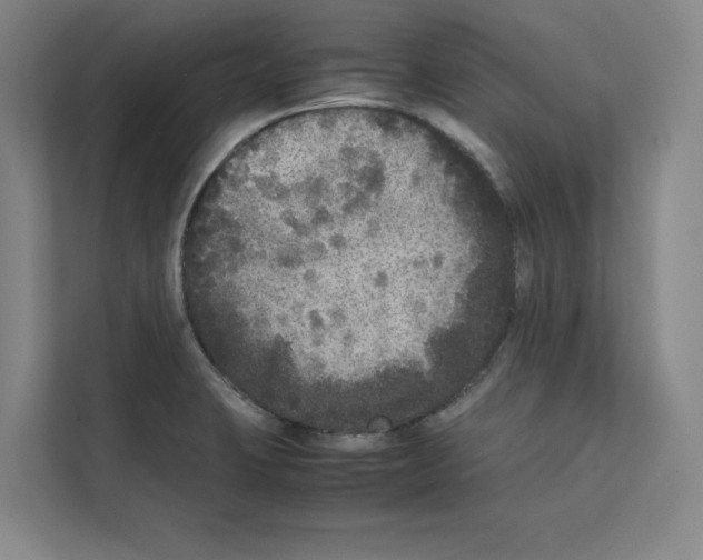 X0000111811423200909031421