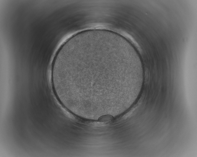 X0000111811424200909031421