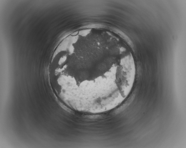 X0000111811425200909031421