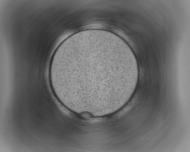X0000111811426200909031421
