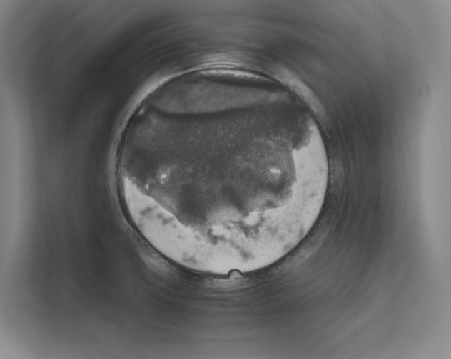 X0000111811427200909031421