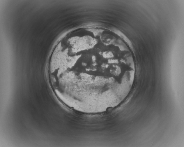 X0000111811429200909031421