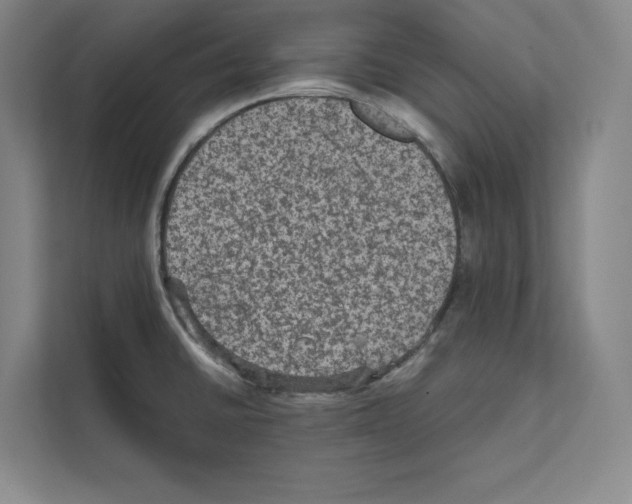 X0000111811430200909031421