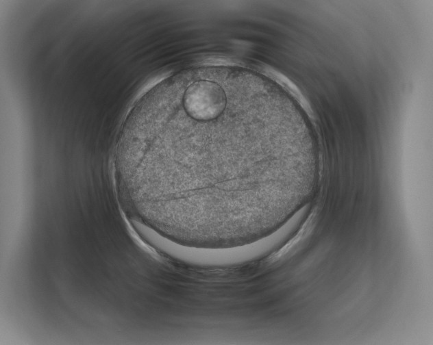 X0000111811433200909031421