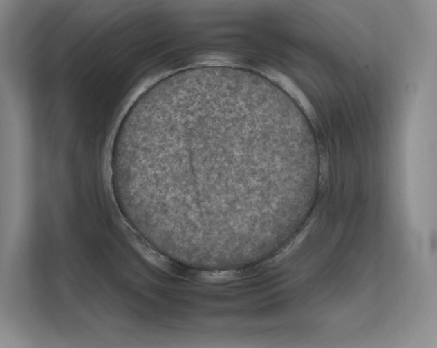 X0000111811435200909031421