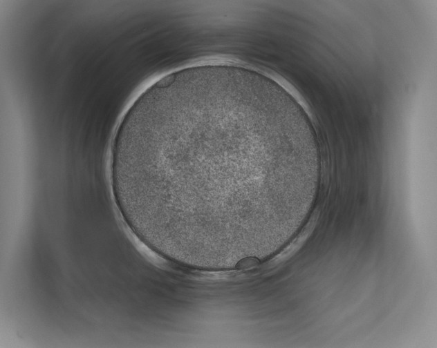 X0000111811438200909031421