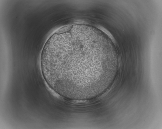 X0000111811439200909031421
