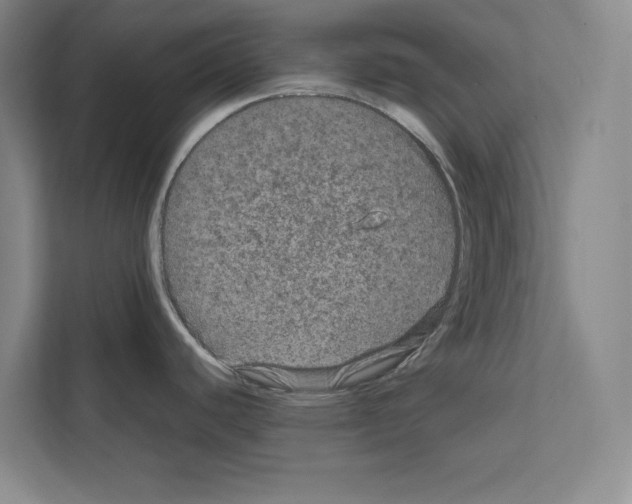 X0000111811440200909031421