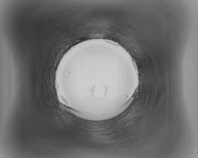 X0000111811441200909031421