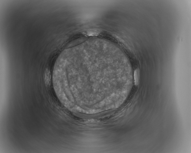 X0000111811443200909031421