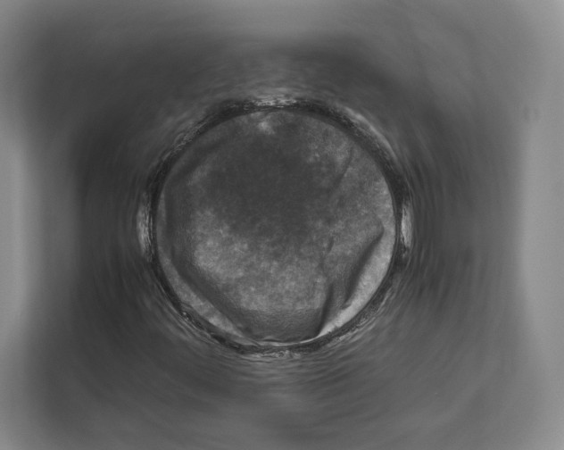 X0000111811444200909031421
