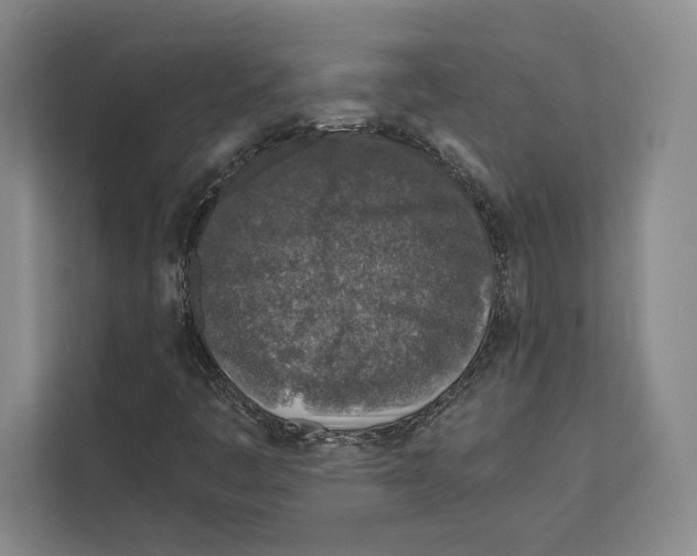 X0000111811445200909031421