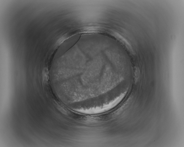 X0000111811449200909031421
