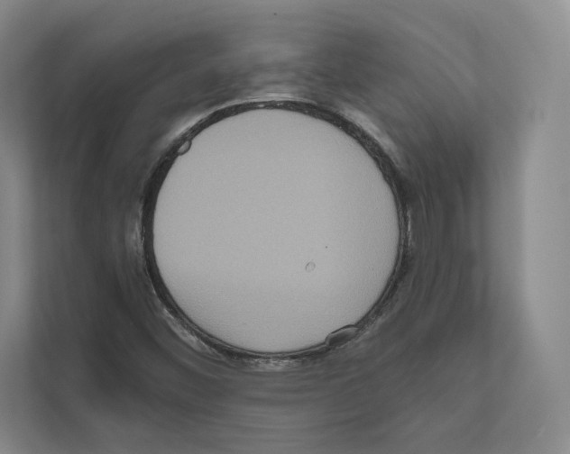 X0000111811452200909031421