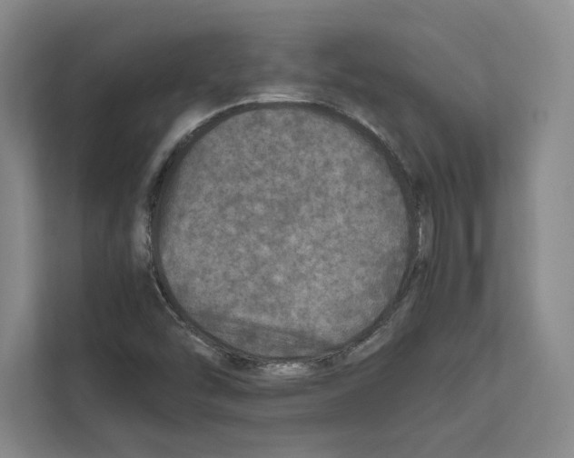 X0000111811454200909031421