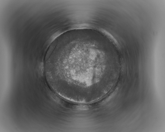 X0000111811457200909031420
