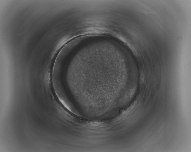 X0000111811459200909031420