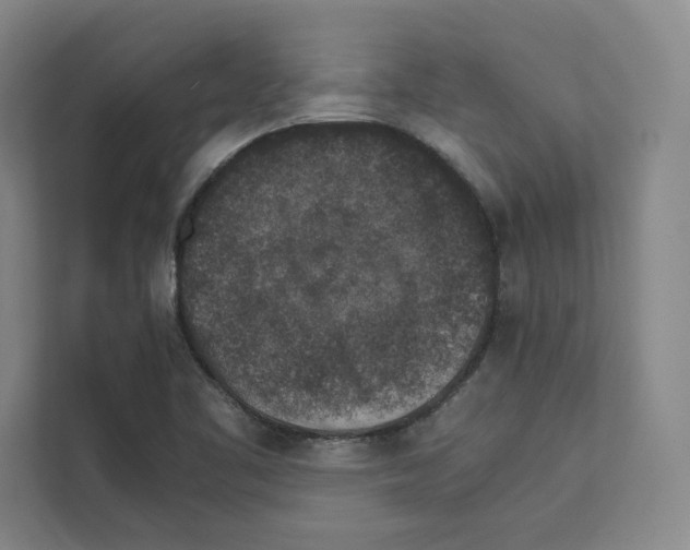 X0000111811461200909031420