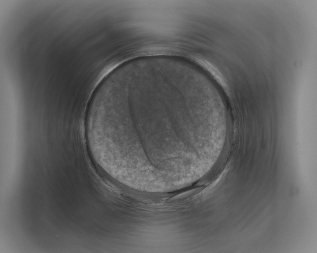 X0000111811465200909031420