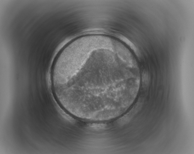 X0000111811466200909031420