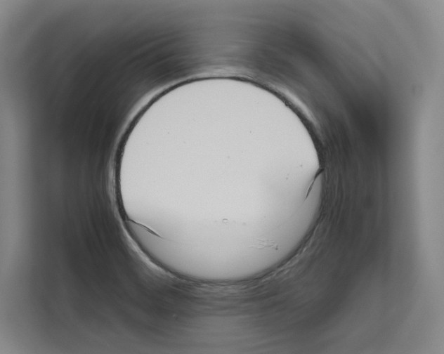 X0000111811468200909031420