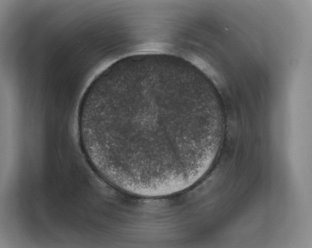 X0000111811469200909031420